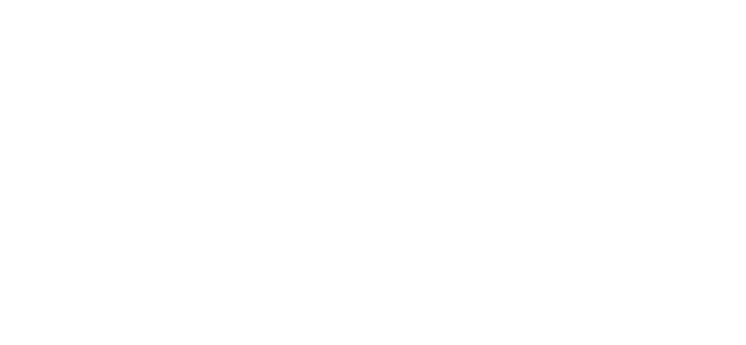auer-service.de